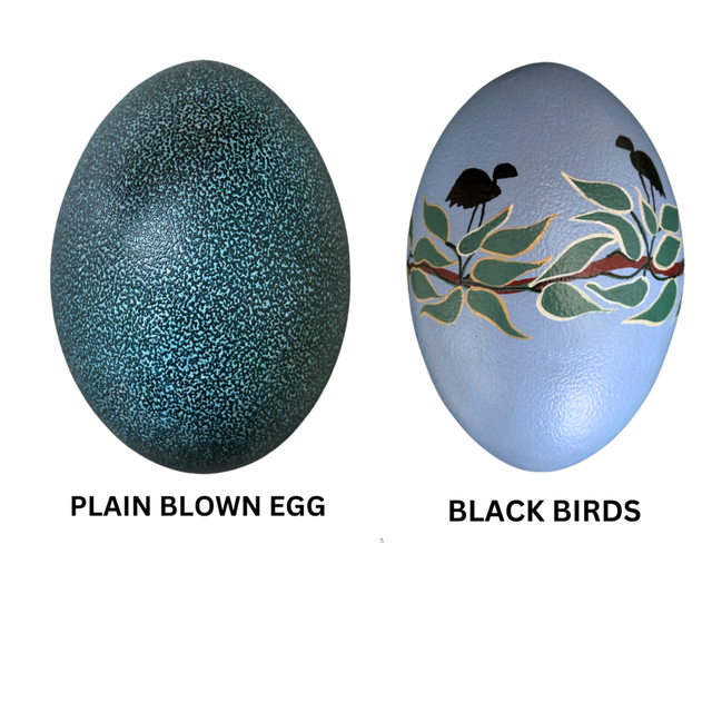 Edible emu eggs bulk trade - Image 4