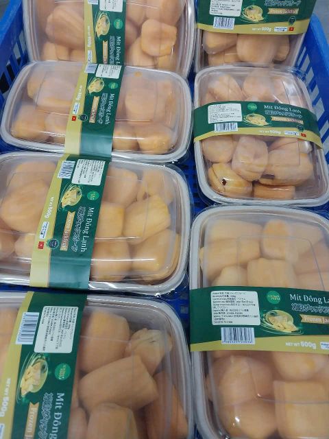 Frozen jackfruit Brix 18 Grade A Type frozen Place of Origin Vietnam Storage Temperature -18C, -18c Shelf Life 12-16 Months, 12-16 months - Image 1