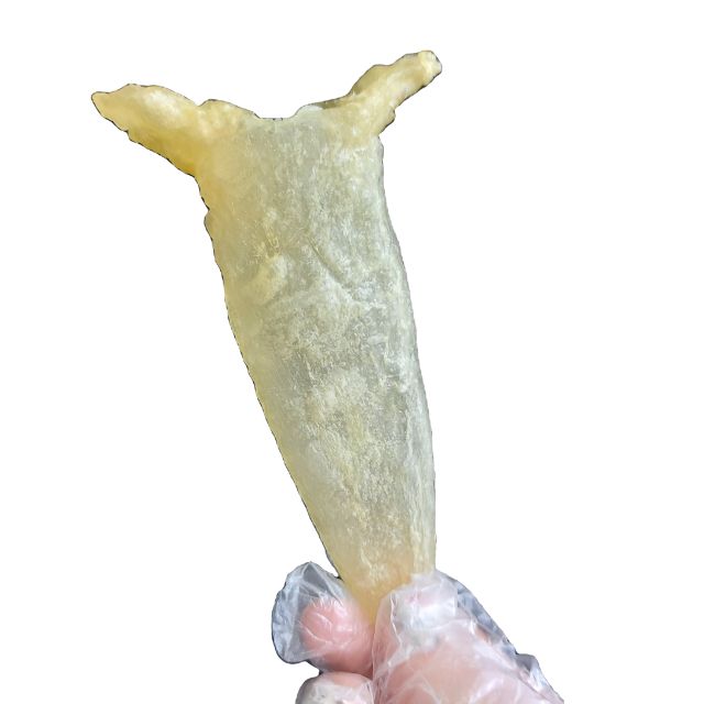 VIETNAM RAW DRIED FISH MAW from PANGASIUS FISH nature AD Food Grade 100% Dried and Natural Fish Maw, No Chemical Bulk packaging - Image 1