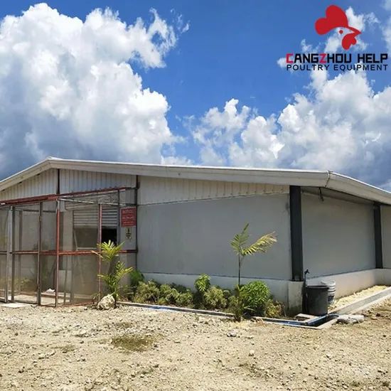 Modernization Steel Structure Building Chicken Coop for Poultry Farming - Image 6