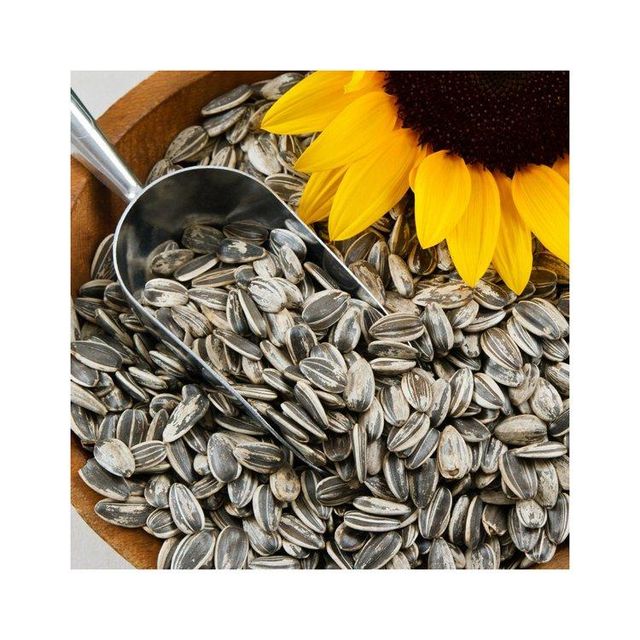 Wholesale Sunflower Seeds cheap price bulk supply fresh and natural kernels Bulk supply Sunflower Seeds - Image 4