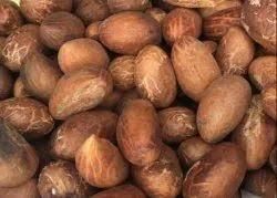 Bitter Kola-Natural Health Booster and Herbal Remedy - Image 4