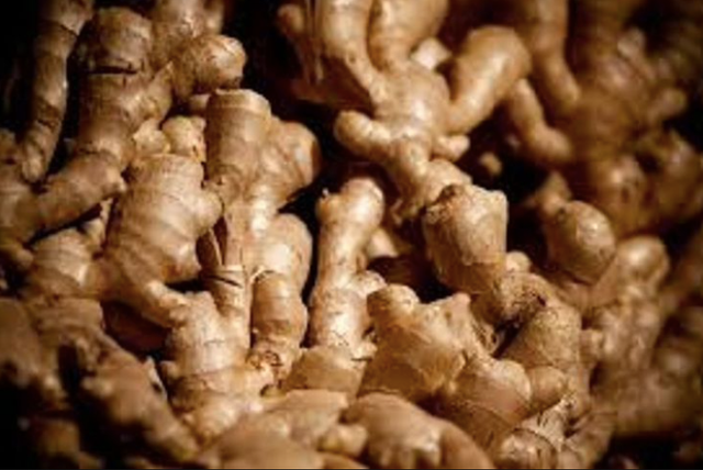 Fresh Ginger - Image 4