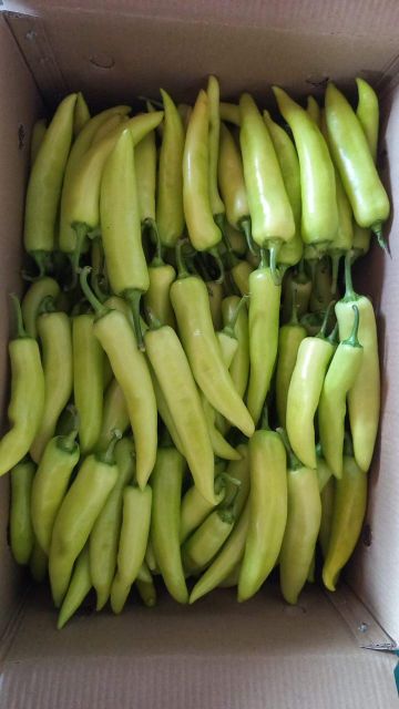 Vegatables - Image 21