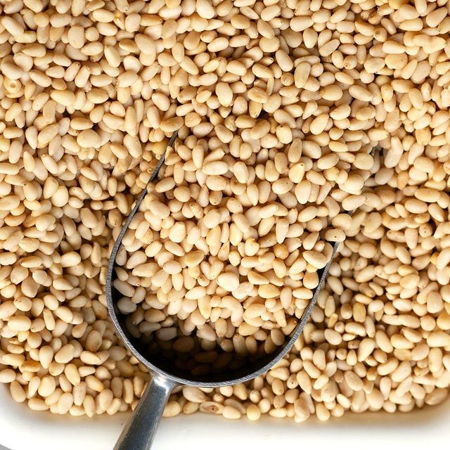 Discount Pine Nuts Premium Quality Natural Shelled Pine Nut Kernels Healthy Snack for Home and Food Processing - Image 3