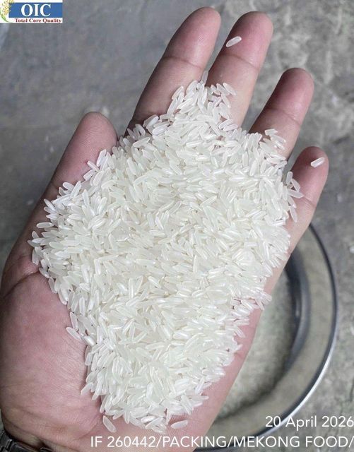 DT8 5% VIETNAMESE RICE Rice Variety Dt8 Moisture Content 5%% Packaging 2 20-foot Container Delivery Unit 20-foot Container - Image 3
