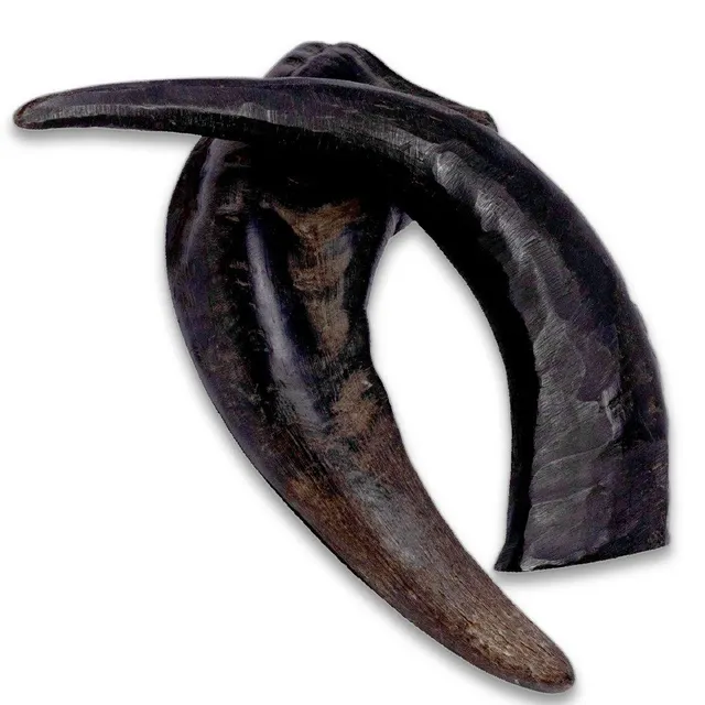 Horn Dog Chew - Image 3