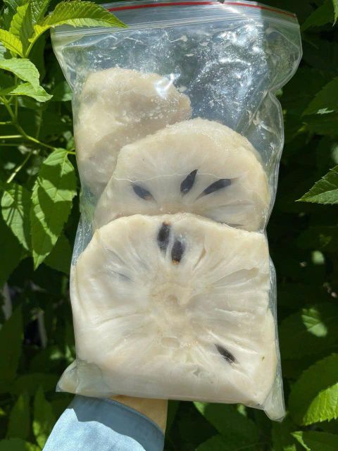 Frozen Soursop Paste Origin Vietnam Features Organic Product Type Vegetarian & Vegan Products - Image 3