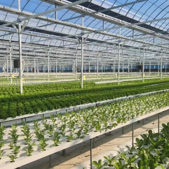 China Hydroponics Nft Pipe Accessories Hydroponic Fertilizer Automated Nft Systems - Image 2