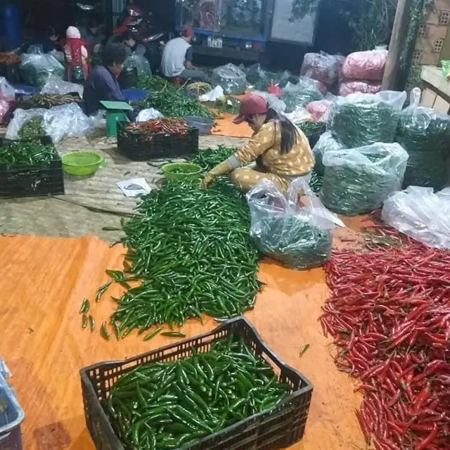 Chilli Fresh Chili Exporter - Best Price & High Quality for supply Premium Dried Red Chilli Peppers – Export Quality Wholesale Spice Supply - Image 3