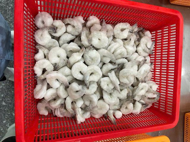 Frozen Hoso Shrimp Selected Whole Shell On Seafood With High Yield Processing Standards For Bulk Seafood Supply - Image 3