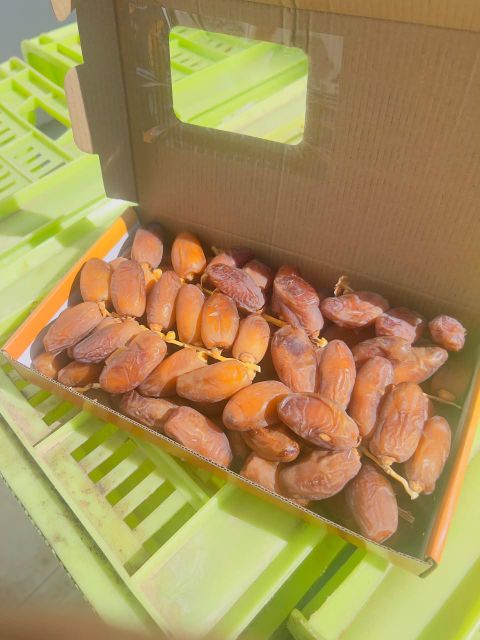 Premium Tunisian dates deglet noor - Image 2