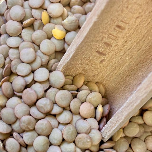 Fresh Green Lentils Factory Direct Green Lentils Bulk Wholesale Available Premium Quality Fast Delivery - Image 3