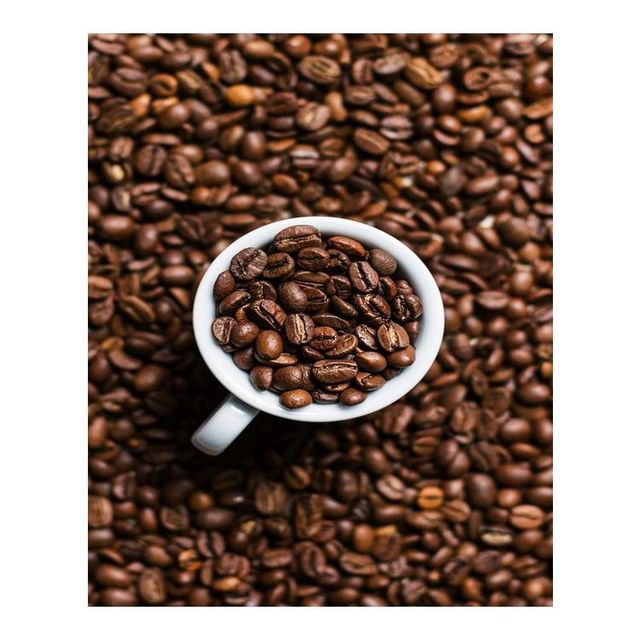 New Arrival Robusta Coffee green fresh beans for original Aroma Flavor and Taste Buy Now From India - Image 3