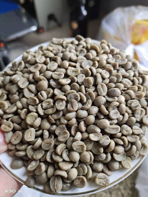 Arabica Coffee Beans Bulk Supplier Export Quality | Grade AA & AB Top Quality Green Coffee Bean - Image 2