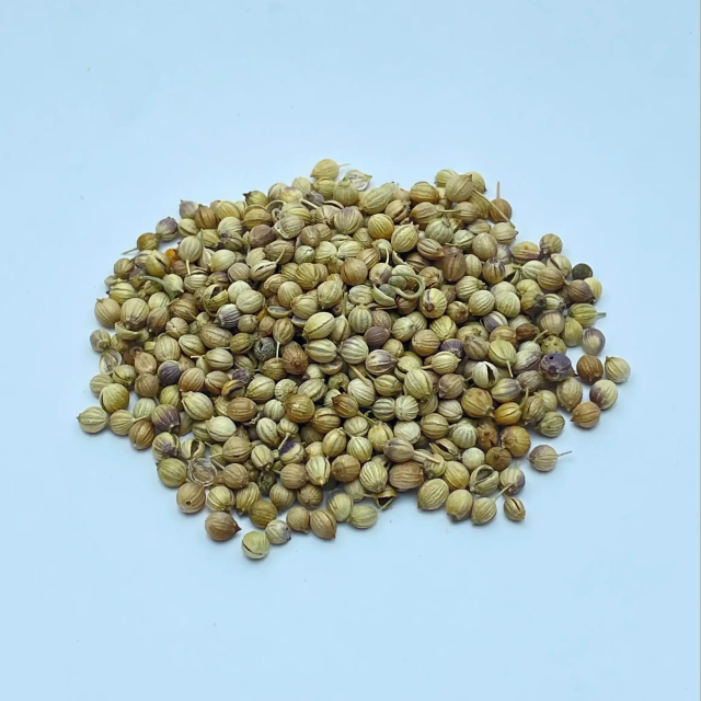 High Quality Coriander Seeds 100% Organic Premium Natural Dried Vegetable Seeds Bulk & MOQ Supplier Best for Gardening - Image 4