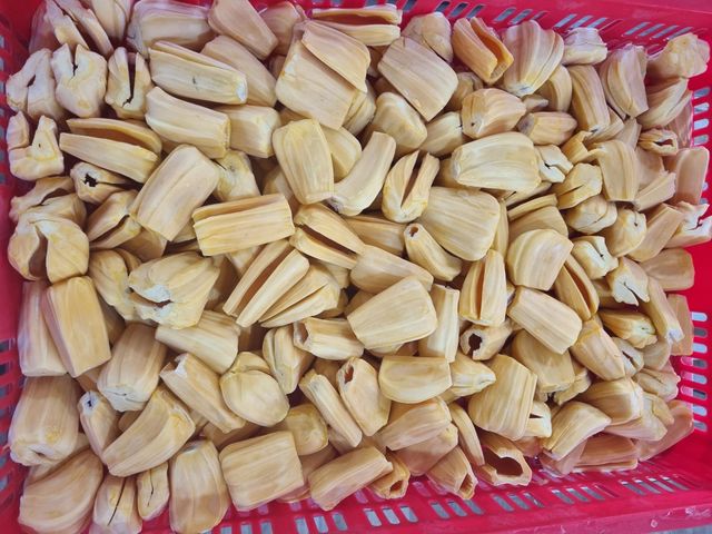 IQF FROZEN JACKFRUIT WITHOUT SEEDS - VIETNAM JACKFRUIT DELICIOUS TASTE FROZEN FRUIT FOR EXPORTING STANDARD - Image 5