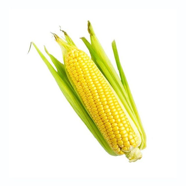 Reliable yellow corn available for sale in large volume for inter-national trade - Image 2