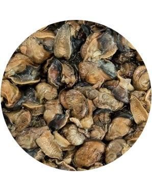 Fresh Frozen Snail Meat - Image 1