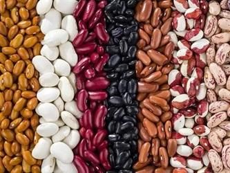 KIDNEY BEANS - Image 2
