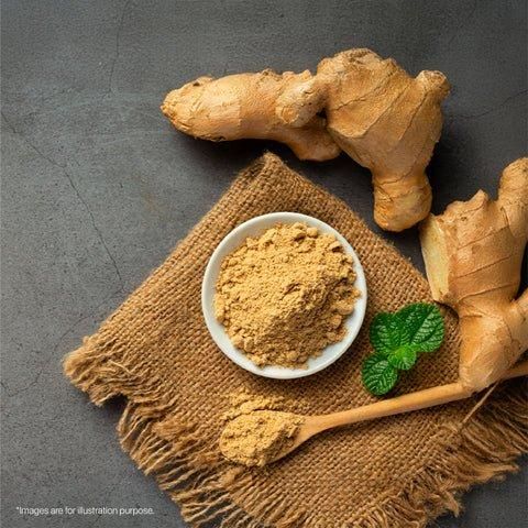 GINGER POWDER Ground Ginger  Dry Ginger Powder  Sun-Dried Ginger Powder  Ginger Spice  Ginger Root Powder  Powdered Ginger - Image 4
