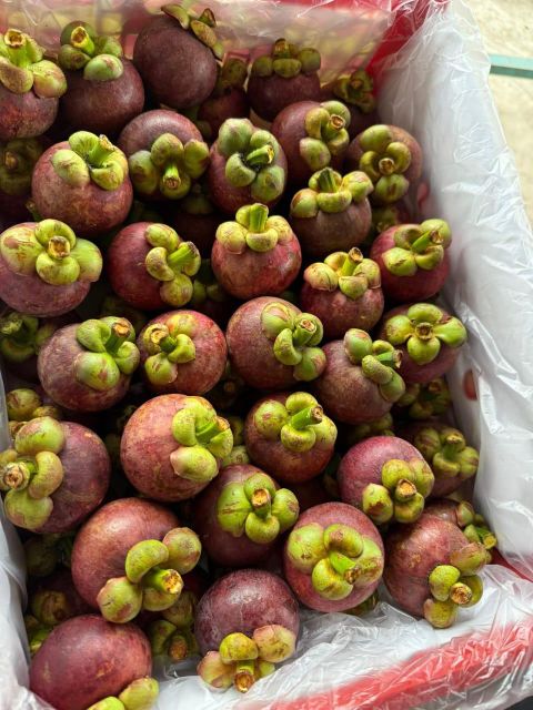 Mangosteen Size Grade 3a To - Image 3