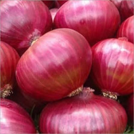 Red Yellow Onion Wholesale Yellow Onions Cebolla Oignon Color Red, Yellow Shape Round, Oval Shelf Life 2 years Form Fres - Image 4