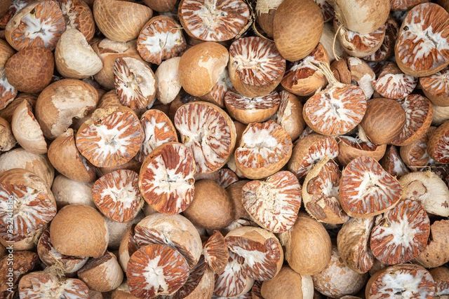 High Grade Dried Split Betel Nuts / Areca Nuts - Image 3