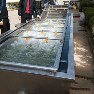 Automatic Food Processing Line Fruit Vegetable Bubble Cleaning Machine - Image 6