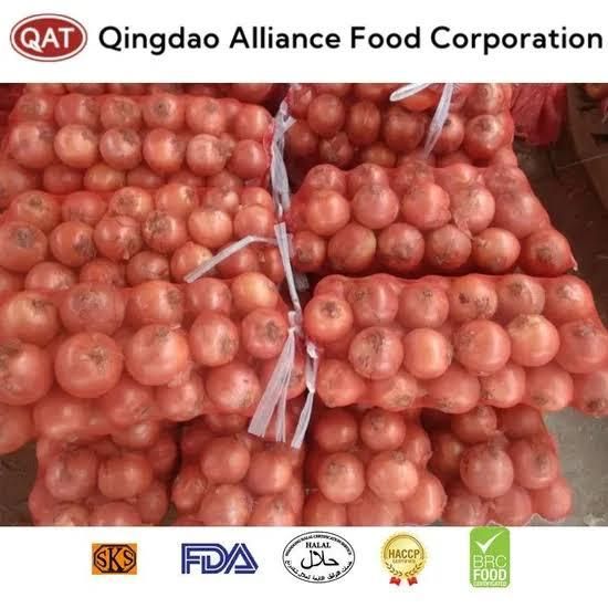 Fresh Yellow Onions Good Price Natural Healthy Onions Wholesale - Image 1