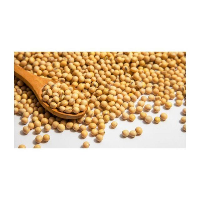 Standard Quality Best Selling Non Gmo Soybean Newest Yellow Soybeans with good Nutrients at Market Manufacturer Price - Image 3