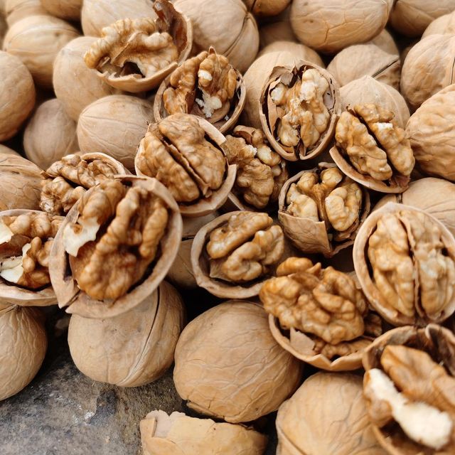 Fresh Walnut Premium Walnut Sourced From Top Farms And Packed For Safe Delivery Worldwide - Image 5