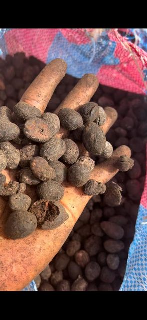 Shea nut Packaging Carton Weight (kg) 20kg Texture Moisturizing Vitamin Content High Source Shea Tree Seeds Fatty Acid Content High - Image 2