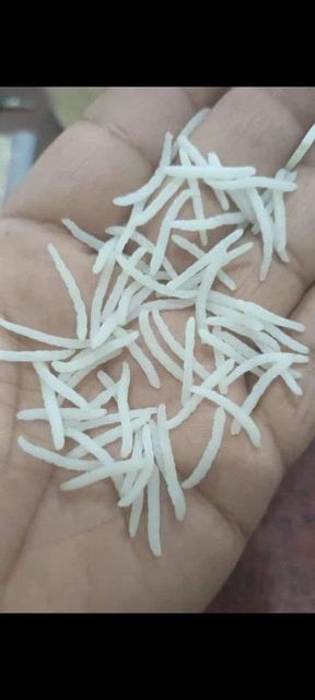 White Rice - Image 4