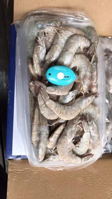 FISH AND FISH PRODUCTS (CRUSTACEANS) FROZEN HOSO VANNAMEI SHRIMPS IN FROZEN - Image 4