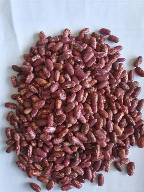 High Quality Red Speckled Beans Natural Whole Seeds Clean Fresh Dried Protein Rich Pulse Perfect For Healthy Diet Cooking And Food Processing Industry Buy Today Fast Delivery Premium Quality Wholesale - Image 5