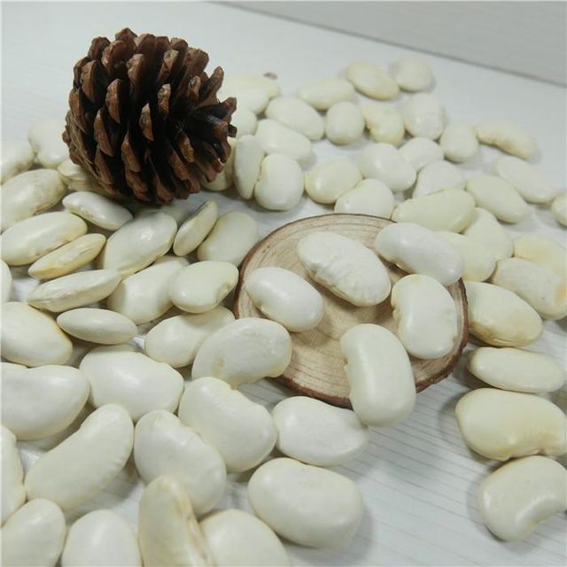 2023 Crop White Kidney Beans Price / Haricot Beans / Baked Bean - Image 4
