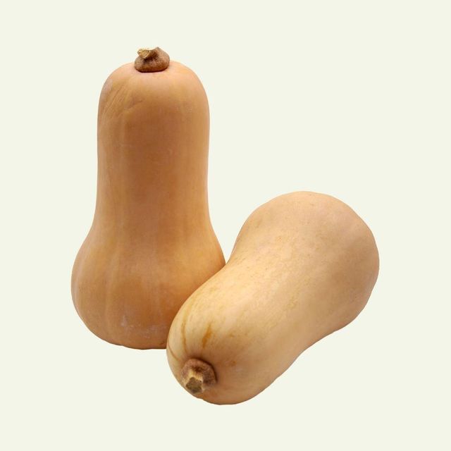 Long Pumpkin - Image 1