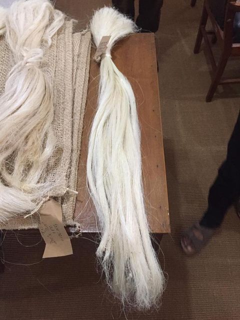 Top Quality Sisal Fibre / Sisal Hemp / Natural UG Grade. BEST PRICE in the MARKET Cheap Good Quality Sisal Fiber Factory Price - Image 4
