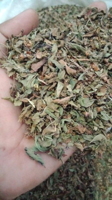 Dried Vana Tulsi Leaf Lemon Basil TBC Grade FOOD Color GREEN Digestive Aid Yes Packaging HDPE BAGS Max. Moisture (%) 8% Shelf Life 24 MONTHS - Image 3