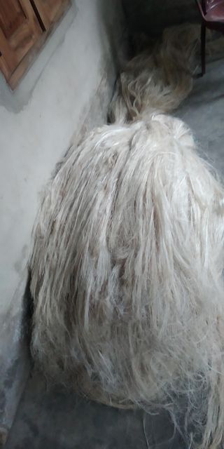 banana fiber - Image 2