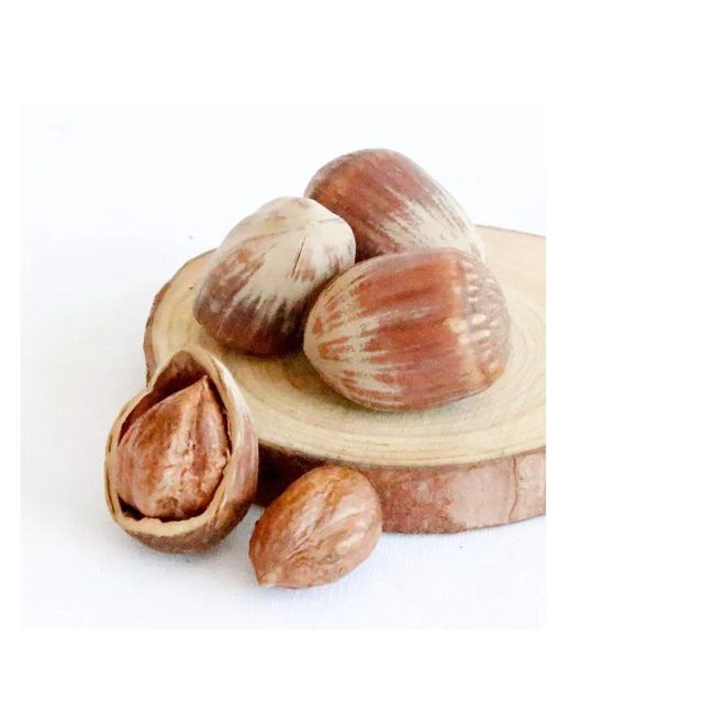 Raw Hazelnut / Organic Grade Hazelnut/Hazel Nuts Grade Top Texture Nuts Packaging Bulk Type Hazelnuts Flavor Natural Origin Organic Farms - Image 3
