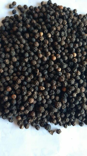 Black Pepper - Image 3