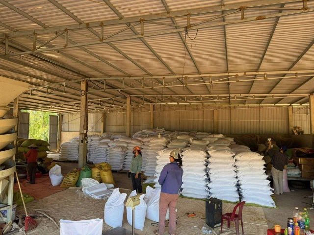 Black pepper and cinnamon Shipment Speed Fast Shipment Price Range 6500 - 8300 Usd/mt Packaging Options 25kg, 50kg, - Image 1