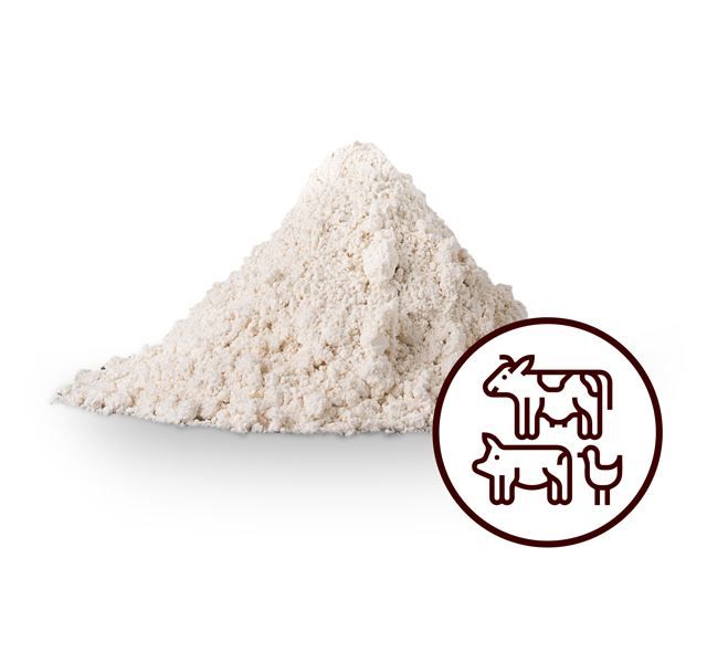 Whole Chestnut Flour for Animal Feed Astringent Properties Present Antioxidant Properties Present Use In Meat Flavoring Ham - Image 2