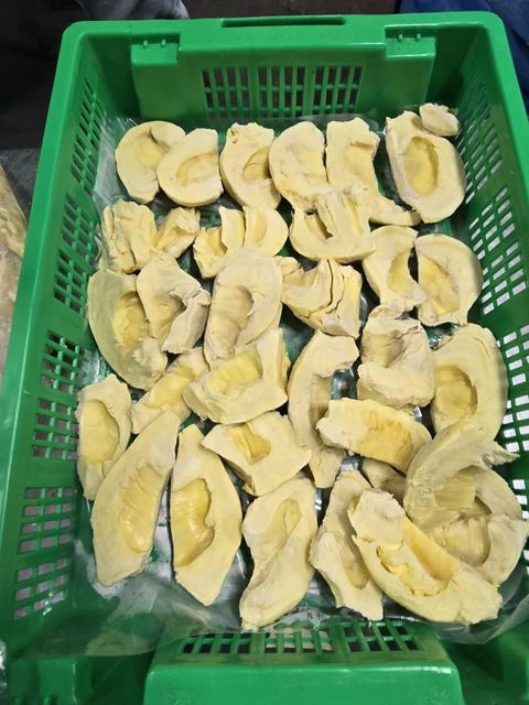 Frozen Durian - High quality frozen durian meats/ whole from Thailand - Image 3