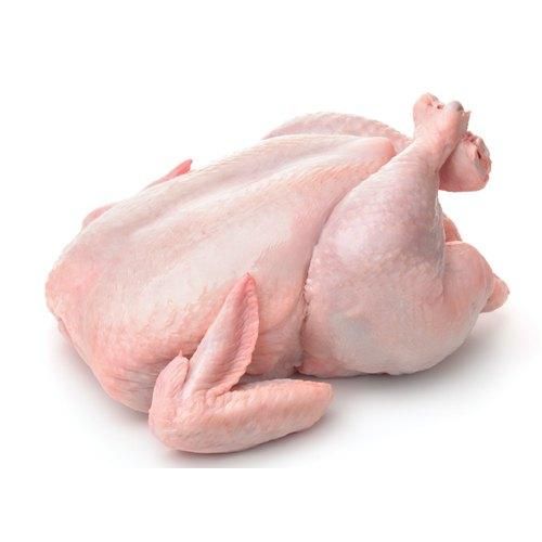 Premium Frozen Whole Chicken – Premium Grade for Wholesale & Export - Image 3