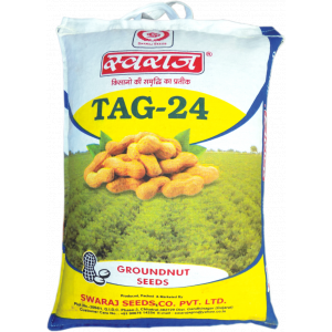 Groundnut Seeds - Image 11