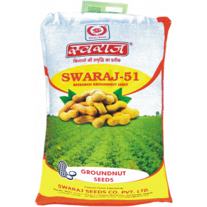 Groundnut Seeds - Image 6