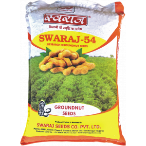 Groundnut Seeds - Image 12